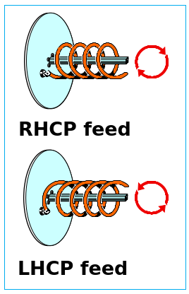 Feeds