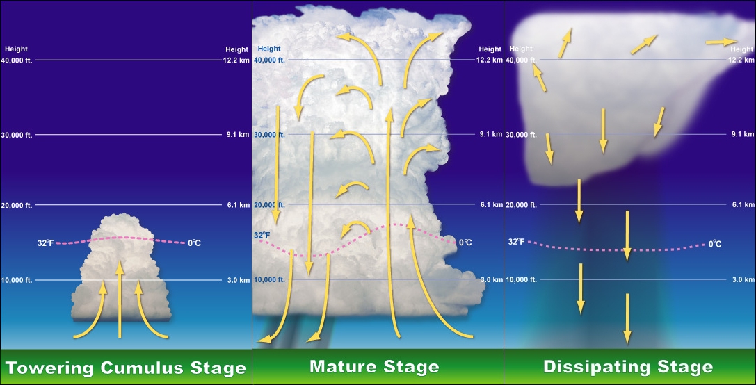 Thunderstorm evolution